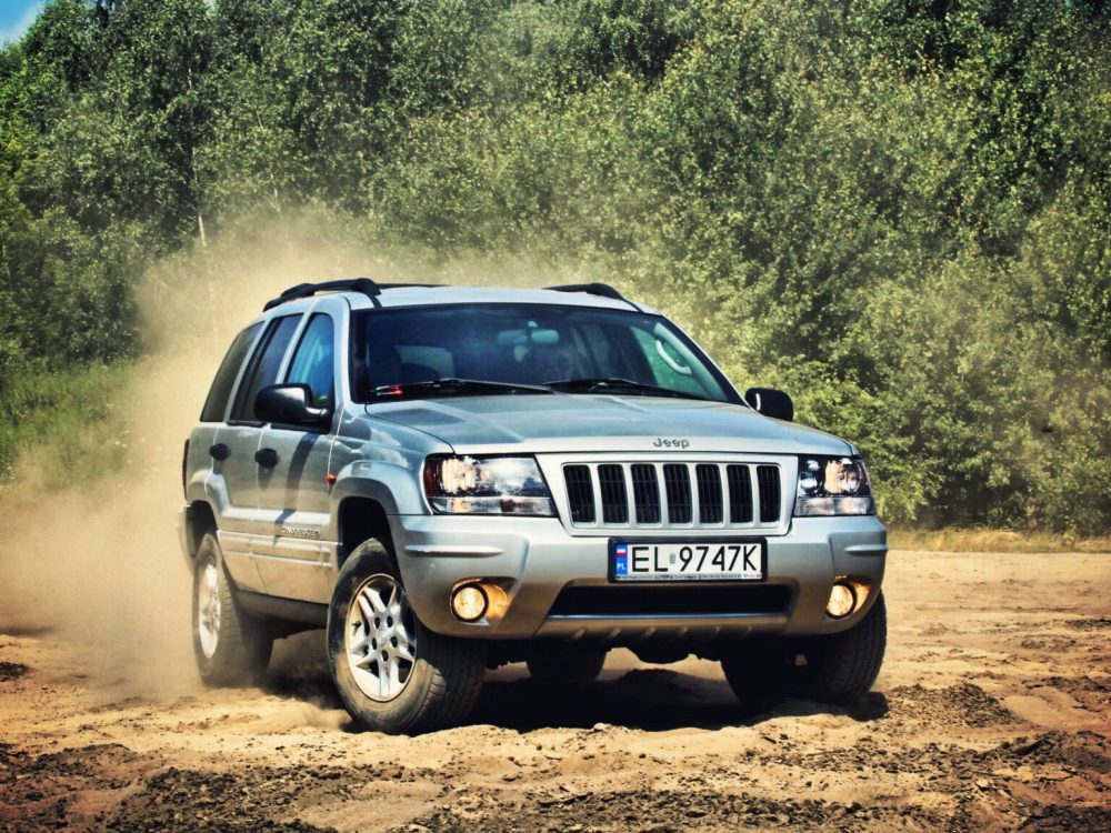 aaaIMG_3118.jpg_effected